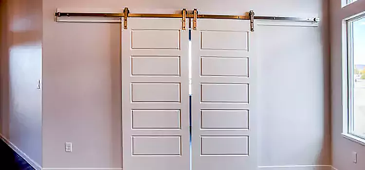 Glass Barn Door with Installation Hardware Kit Laurel