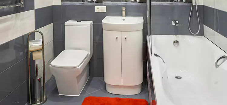 Hansgrohe Shaving Mirror Laurel