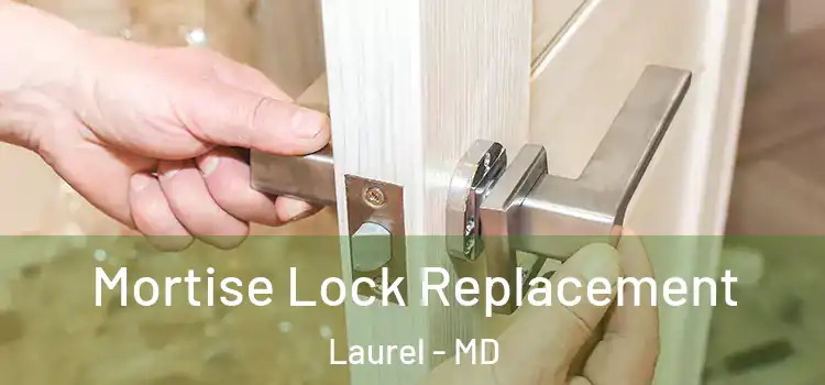 Mortise Lock Replacement Laurel - MD